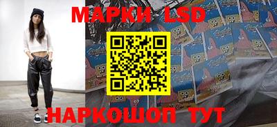 мяу мяу мука Будённовск