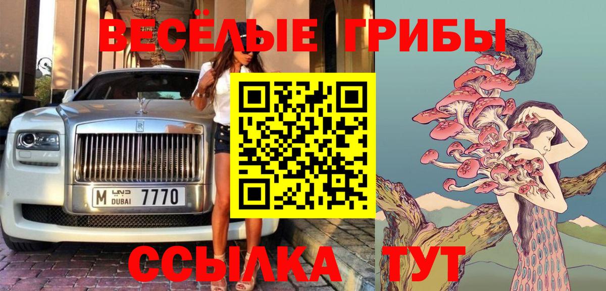 Галлюциногенные грибы Psilocybe Светлоград