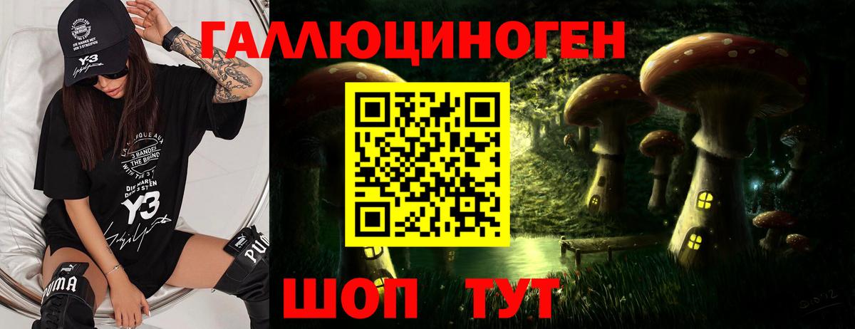Светлоград  купить  цена  Галлюциногенные грибы мухоморы  Вход с VPN  Псилоцибиновые грибы Magic Shrooms 